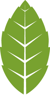 simalfa green leaf